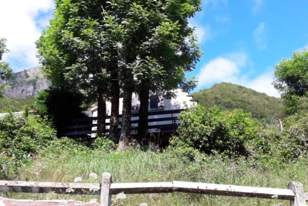 Chalet Oustaou Campan La Mongie Col Du Tourmalet 外观 照片